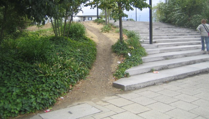 desire path